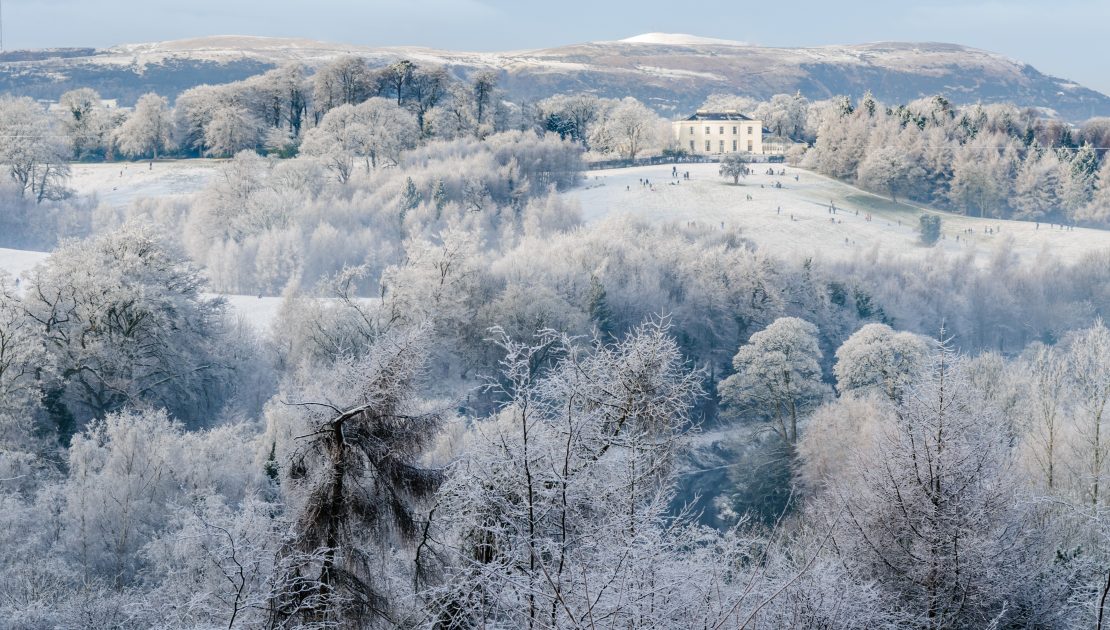 Barnetts Demesne from a distance, covered in snow