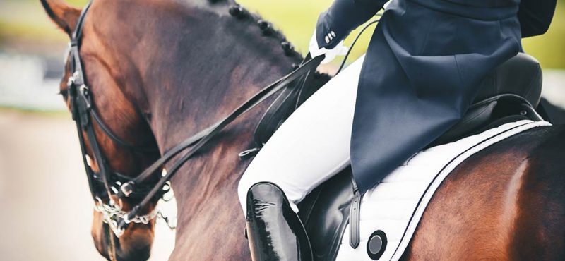 Equestrian Business Insurance