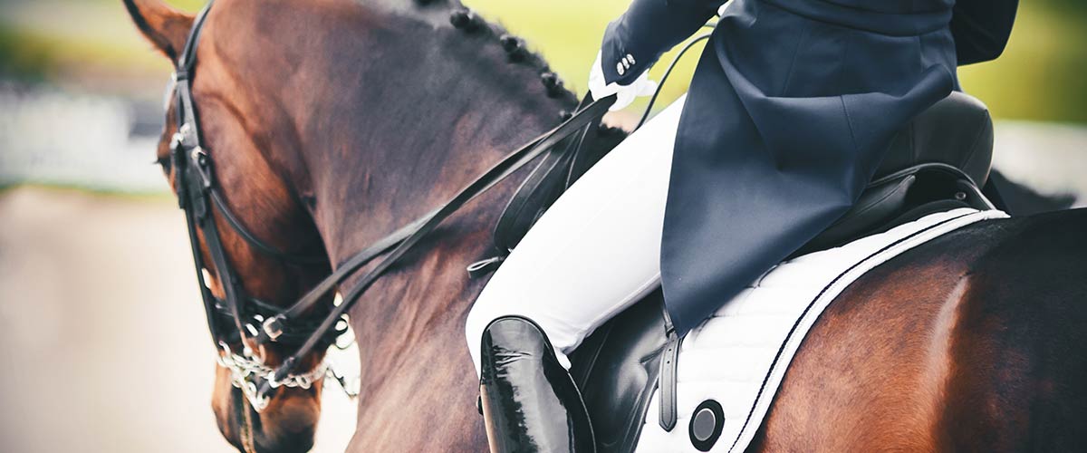 Equestrian Business Insurance