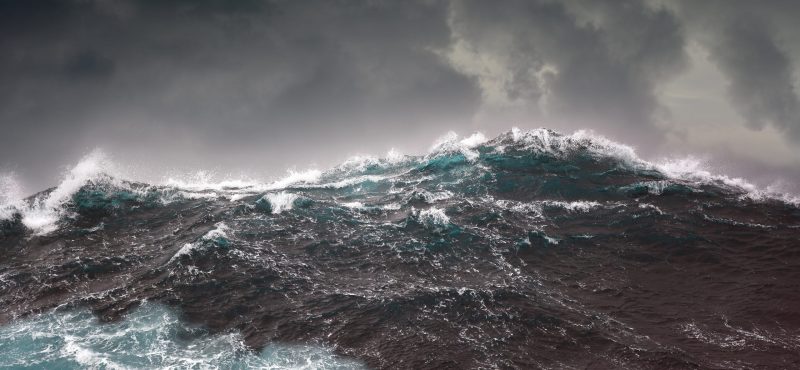 storm Eowyn how to mitigate storm damage